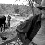 Cuba - Modesto original